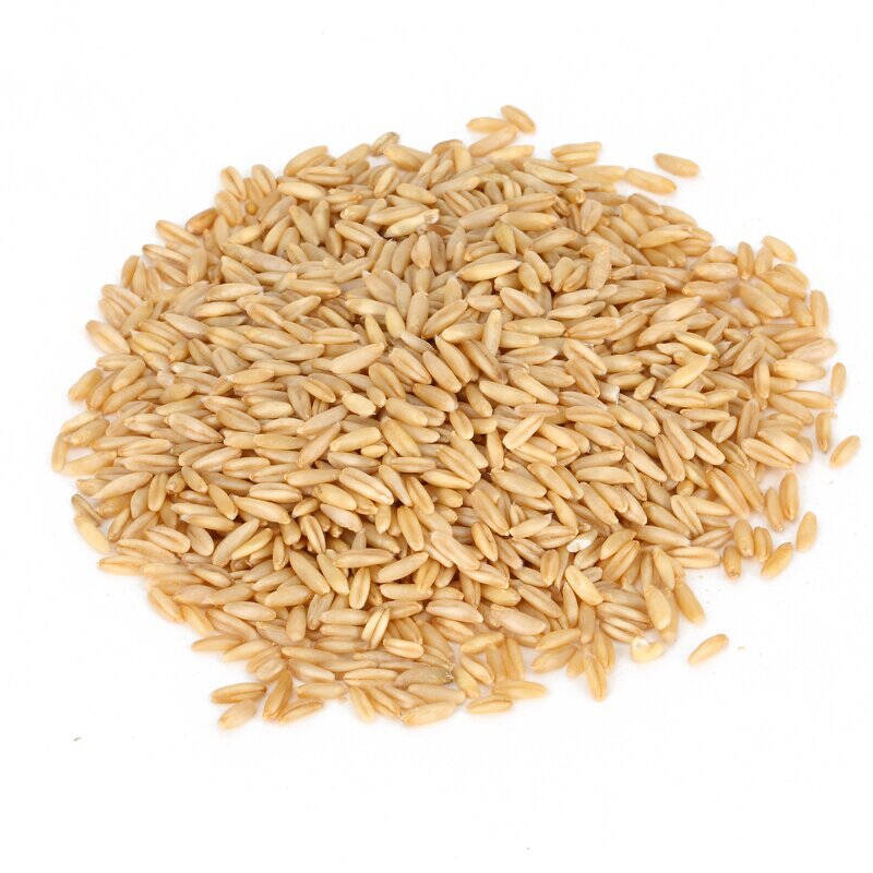 【新勝裕】燕麥600g